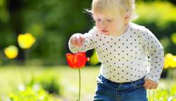 child with flower