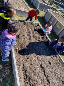 children playing in a garden