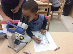 a child looking in a microscope